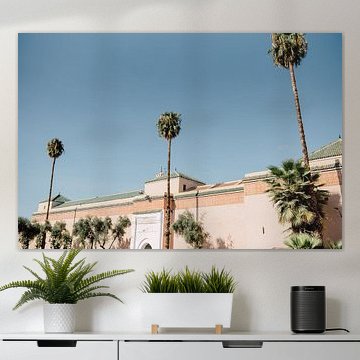 Die Palmen von Marokko