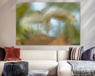 Creatieve, abstracte paddestoelen van MientjeBerkersPhotography