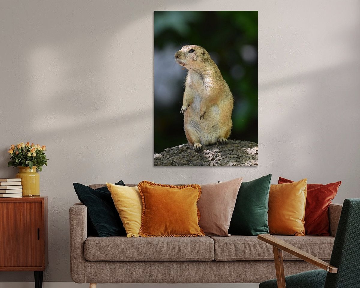 Raumvorschau