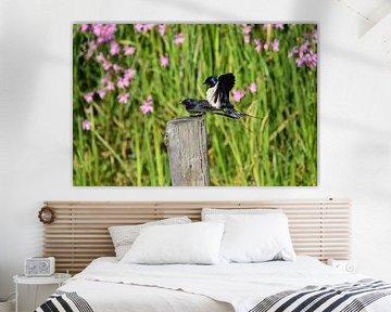 1 swallow does not make a summer