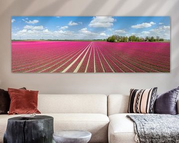 Tulpen in landwirtschaftlichen Feldern im Frühling von oben gesehen von Sjoerd van der Wal