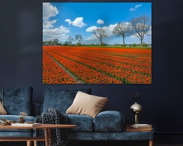 Tulpen in landbouwvelden in de lente van Sjoerd van der Wal