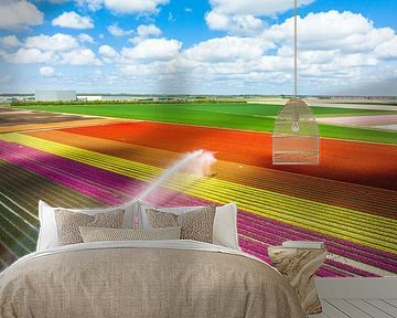 Tulpen auf einem Feld, das mit einer landwirtschaftlichen Beregnungsanlage besprüht wird