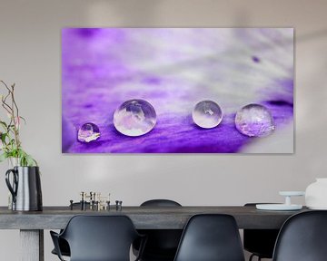 Drop Art van Jessica Berendsen