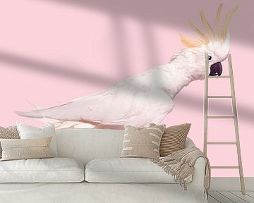 Rollerskating Cockatoo