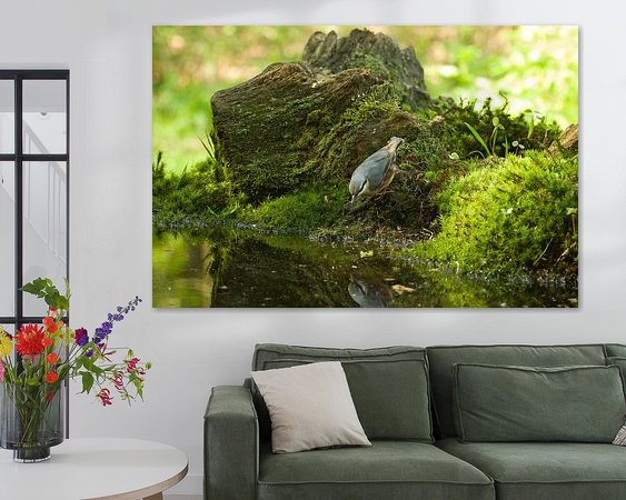 Aperçu de la chambre