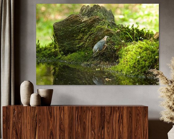 Aperçu de la chambre