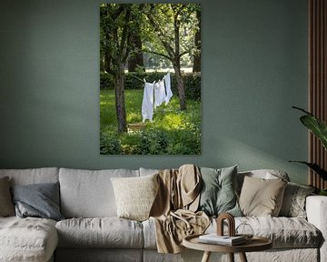 Laundry by inez