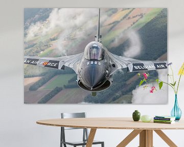 Dark Falcon : F-16 Demo Team Force aérienne belge. sur Jaap van den Berg