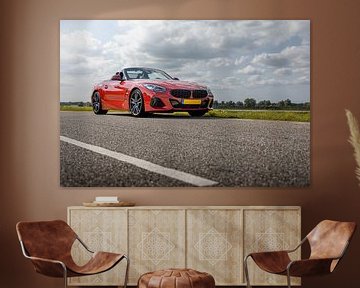 BMW Z4 Roadster van Pieter van Dieren (pidi.photo)