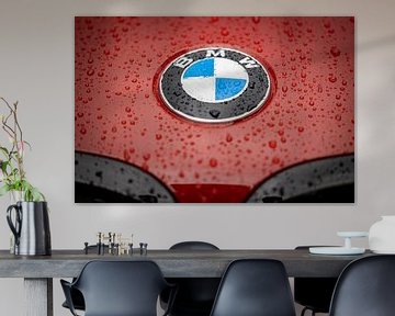 Het logo van een BMW Z4 in de regen van Pieter van Dieren (pidi.photo)