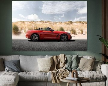 A portrait of a BMW Z4 M40i by Pieter van Dieren (pidi.photo)