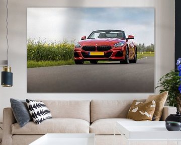 Portrait of a BMW Z4 M40i by Pieter van Dieren (pidi.photo)