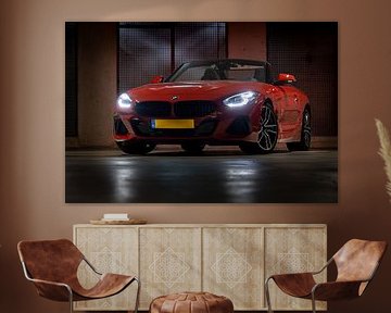 Portrait d'une BMW Z4 M40i sur Pieter van Dieren (pidi.photo)