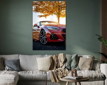 A BMW Z4 with autumn colors by Pieter van Dieren (pidi.photo)