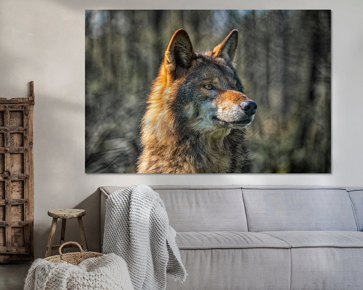 Raumvorschau