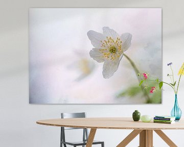 Pastel flower by natascha verbij