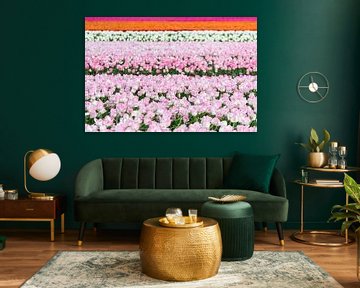 Buntes Tulpenfeld von MdeJong Fotografie