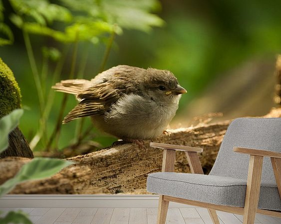 Voorbeeld van het werk in een kamer