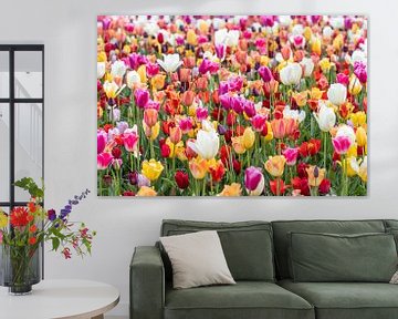 buntes Tulpenfeld von marloes voogsgeerd