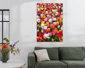kleurrijke tulpen van marloes voogsgeerd