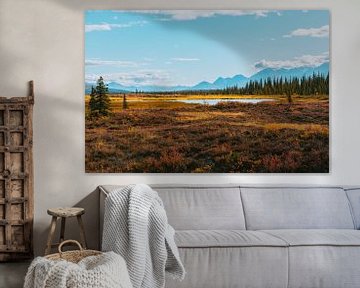 Denali-Nationalpark von Maikel Claassen Fotografie