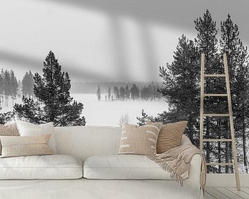 Schnee über dem Wald