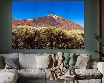 Teide volcanic landscape by Alexander Wolff