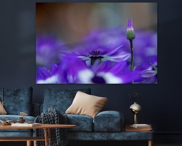 Purple glow with daisies by Winanda Winters