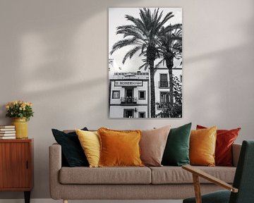 Palmboom Ibiza Landschap van Rob van Dongen