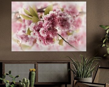 Dreamy Cherry Blossom by marlika art