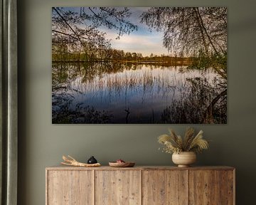 Romantischer Blick auf einen Teich von Holger Spieker