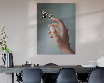 butterfly by José Lugtenberg
