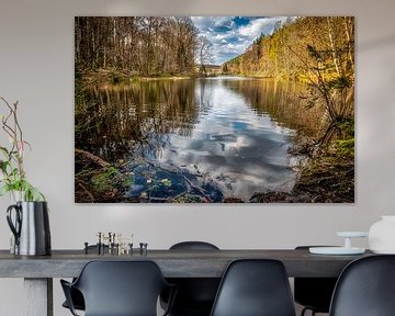 Reflection clouds in the Eiswoog in Kaiserslautern by Dieter Walther