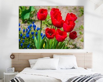 Rode tulpen en kleine blauwe bloemen