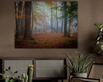 Autumn on park forest estate Voorstonden by Suzan Brands