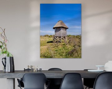 Beobachtungsturm am Altbessin auf der Insel Hiddensee