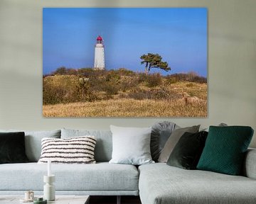 Der Leuchtturm Dornbusch auf der Insel Hiddensee von Rico Ködder