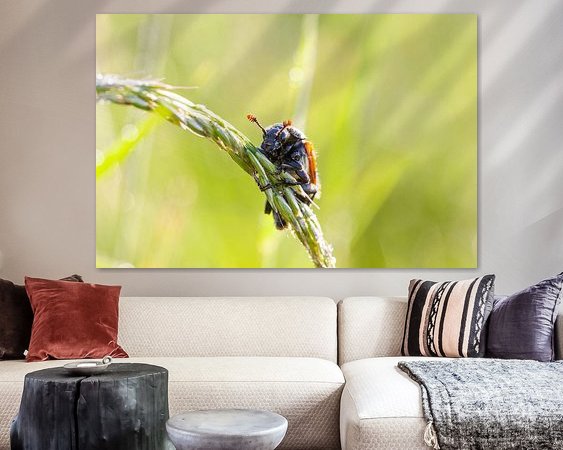 Aperçu de la chambre