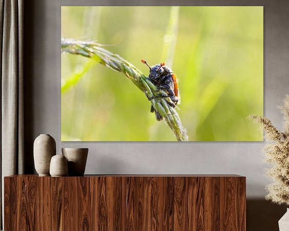 Aperçu de la chambre