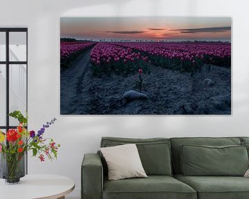 Tulpen en zonsondergang van Claudia De Vries