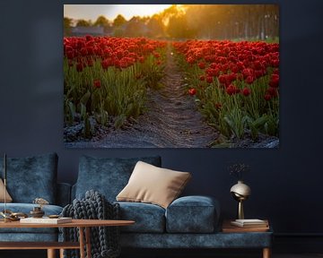 Rote Tulpen bis zum Horizont von Erik Spijkerman