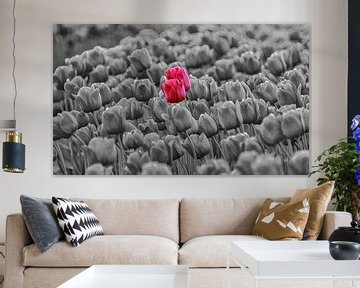 Einfarbige Tulpen mit einem Hauch von Rosa von Erik Spijkerman