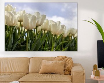 Witte tulpen tegen een wolkenlucht van Elly Damen