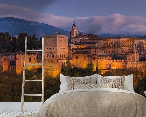 Aperçu de la chambre