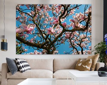 Mooie Magnolia bloemen in bloei in de lente van Chihong