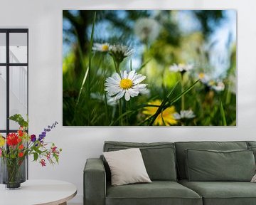 Madeliefjes en paardenbloemen in de lente - vrolijk en blij van Chi