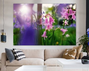 Pink and purple flowers ( haze bells , hyacinthoides , bluebells ) by Chihong