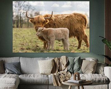 Scottish Highlander with calf, blond by Ans Bastiaanssen