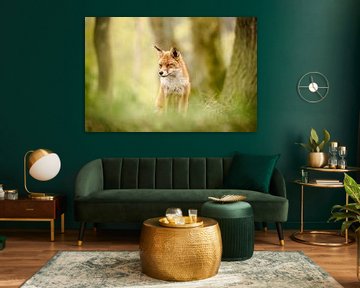Fox between the trees in the green by KB Design & Photography (Karen Brouwer)